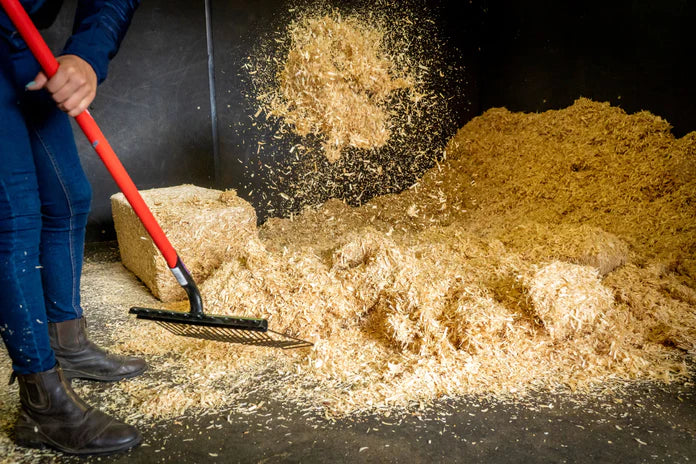 Littlemax Shavings