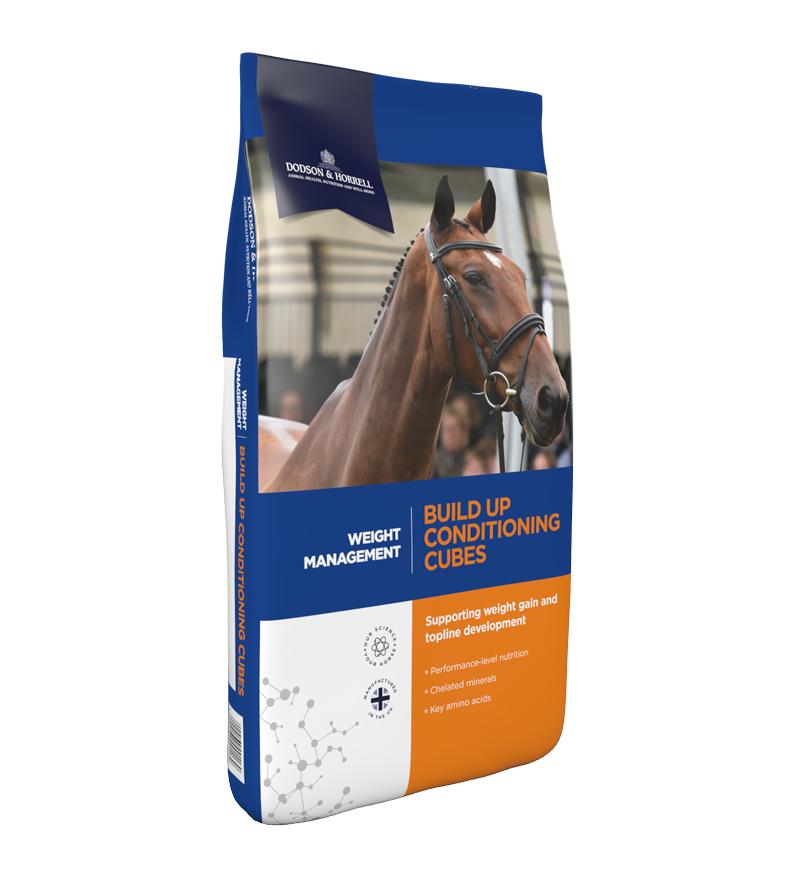 Dodson & Horrell Build Up Conditioning Cubes