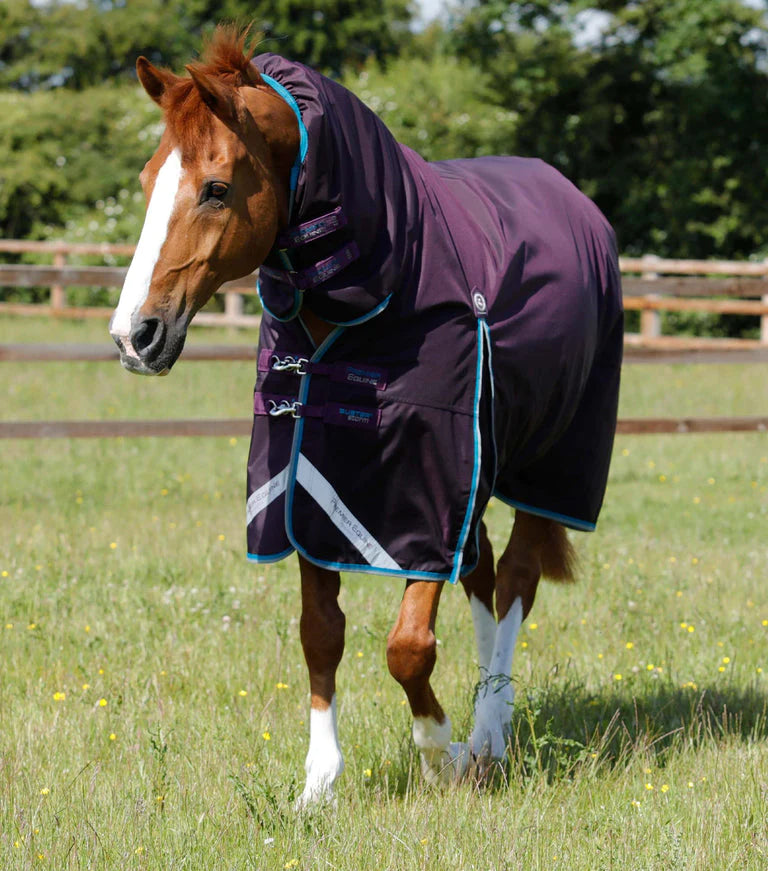 The Premier Equine Buster Storm 100g Combo in Purple#Purple