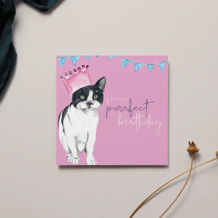 Meg Hawkins Purrfect Birthday Card