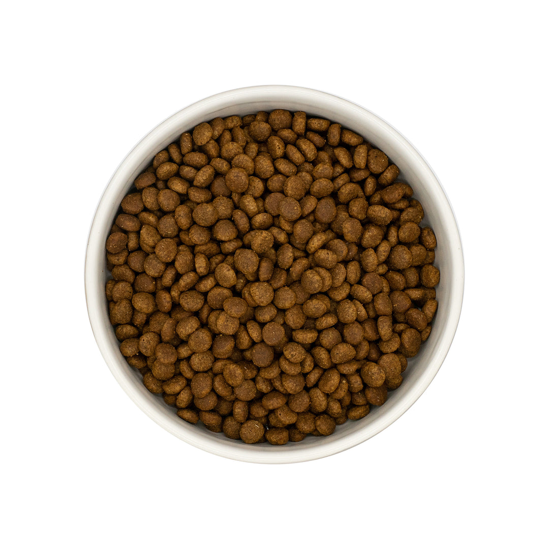 Millbry Hill Connoisseur Kitten Turkey & Chicken