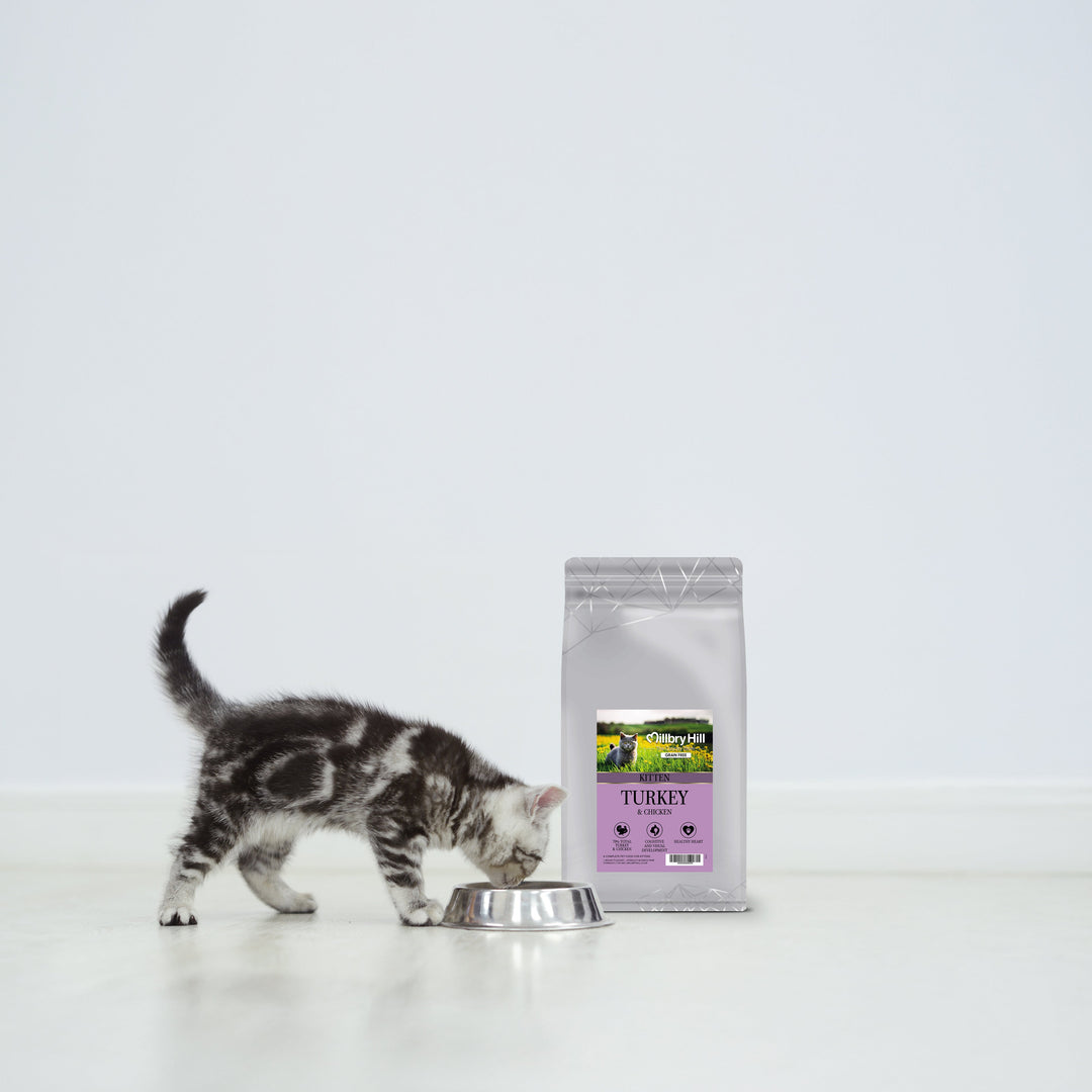 Millbry Hill Connoisseur Kitten Turkey & Chicken
