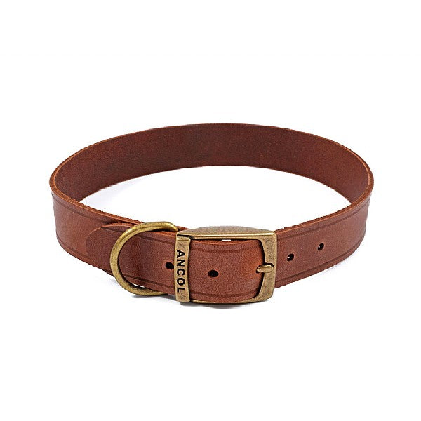 Ancol Latigo Leather Dog Collar