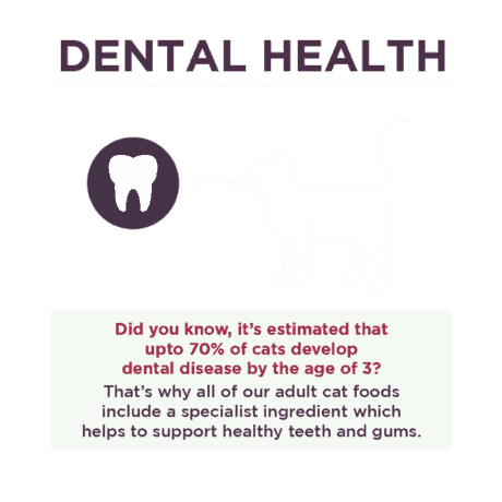 Burgess Complete Mature Dry Cat Food with Turkey & Cranberry