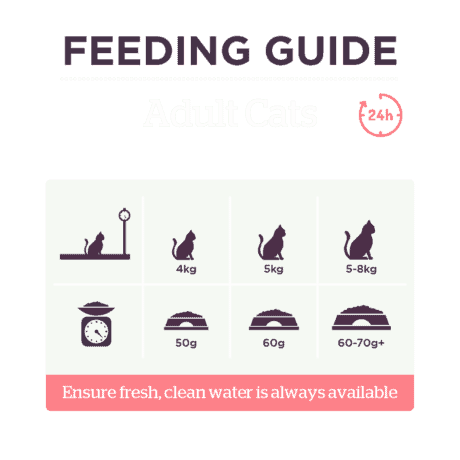 Burgess Complete Adult Dry Cat Food Rich in Scottish Salmon