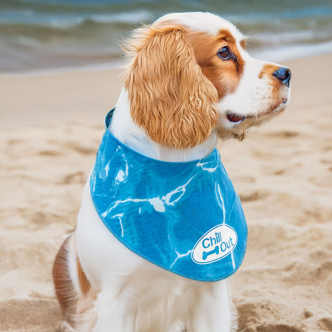 All For Paws Chill Out Ice Bandana