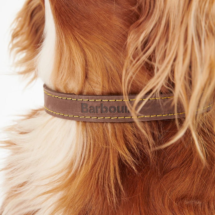 Barbour Leather Dog Collar