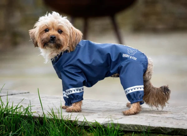 Dog all 2025 in one raincoat