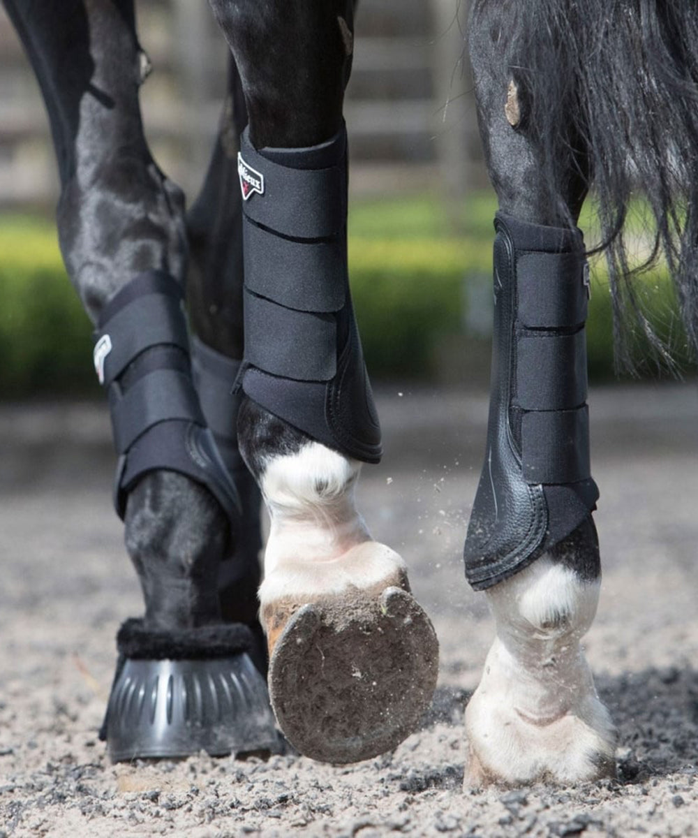 Horse wearing LeMieux Sports Boots