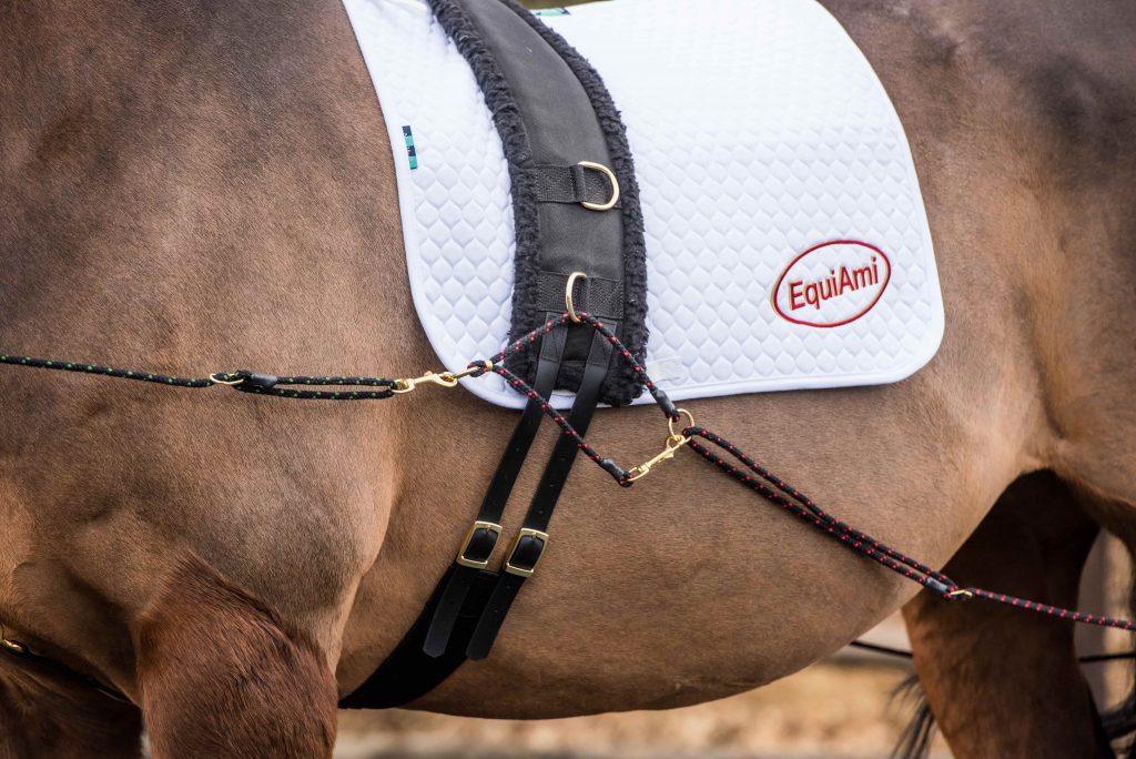EquiAmi Fleece Lunge Roller