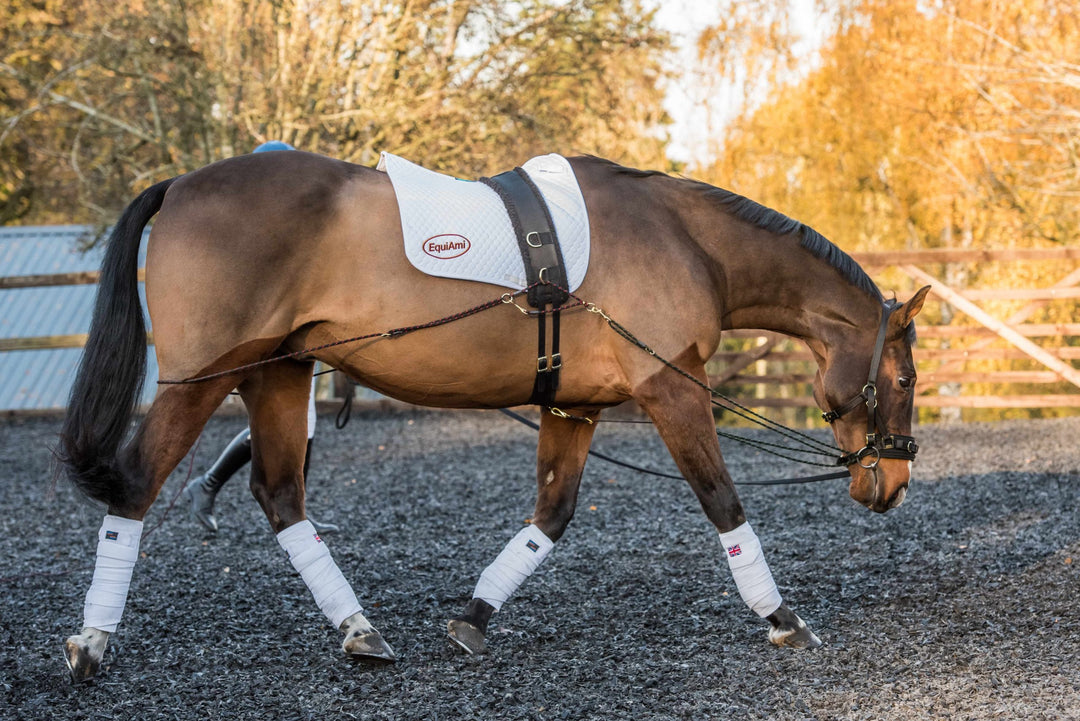 EquiAmi Standard Lunge Aid