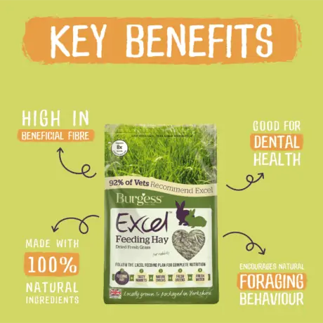 Burgess Excel Feeding Hay Dried Fresh Grass for Rabbits