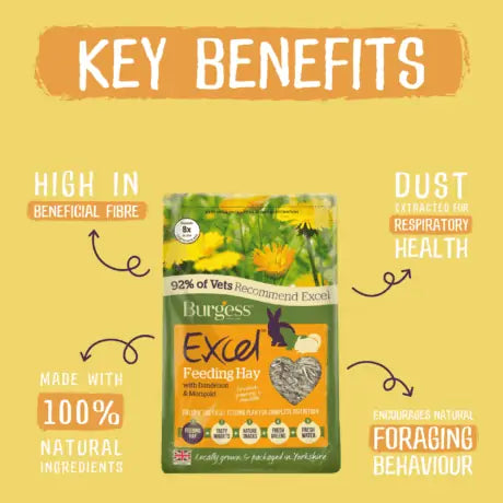 Burgess Excel Feeding Hay with Dandelion & Marigold