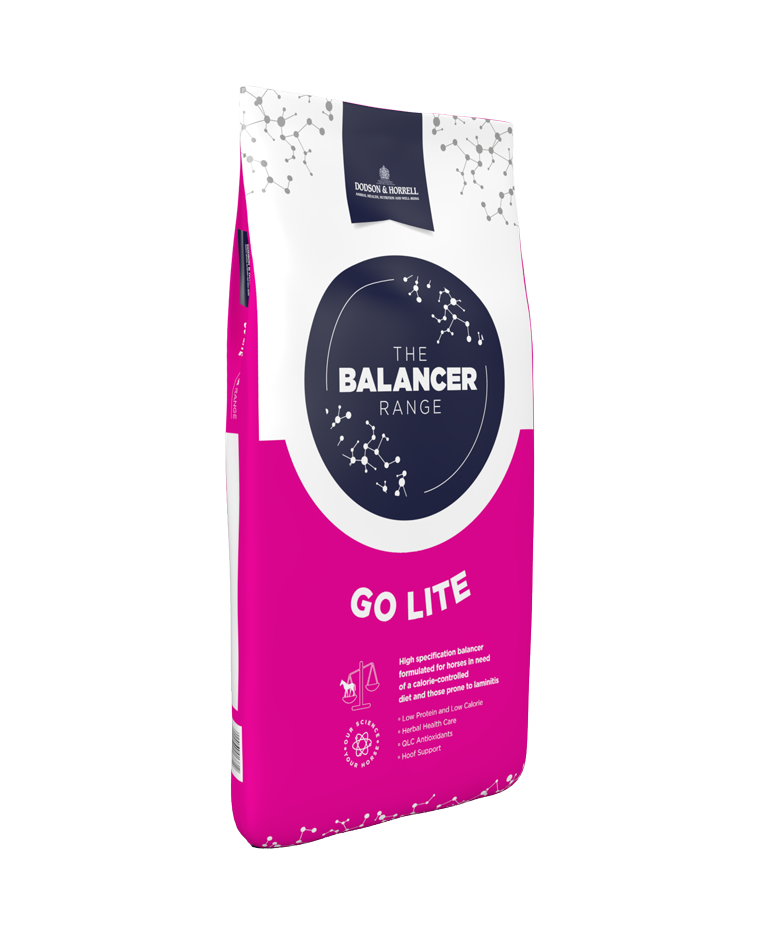Dodson & Horrell Go Lite Balancer