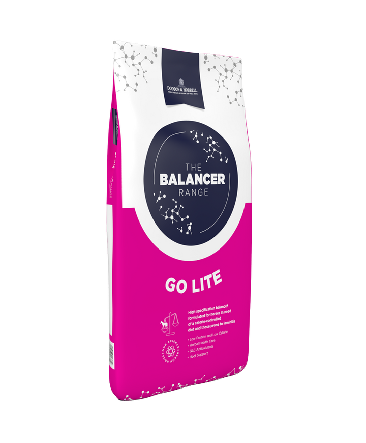 Dodson & Horrell Go Lite Balancer