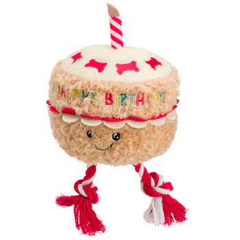 House Of Paws Birthday Cake with Rope Dog Toy