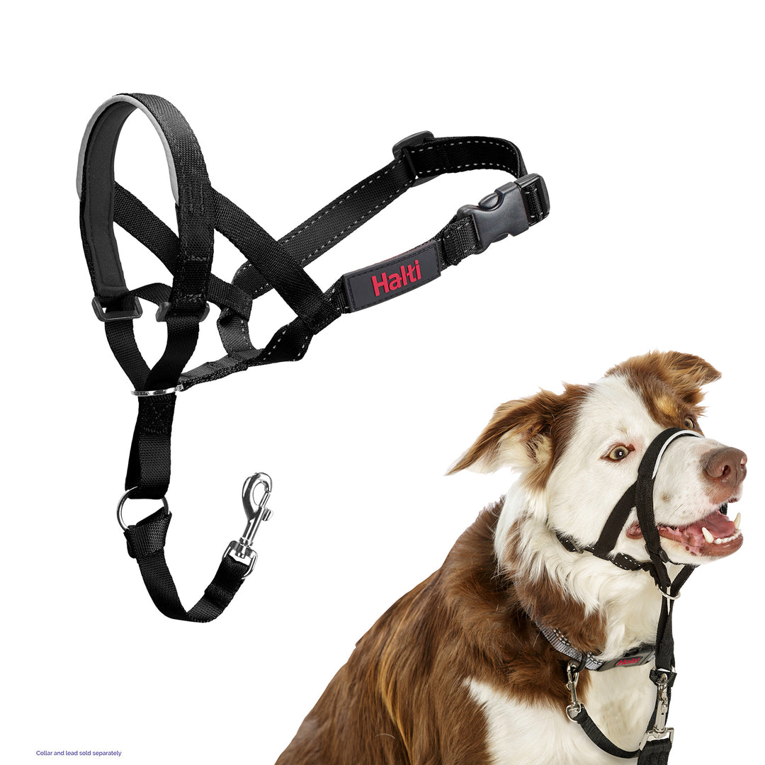 Halti Head Collar for Dogs
