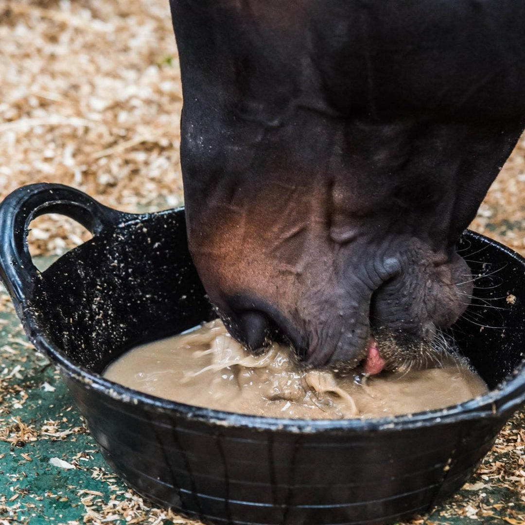 Allen & Page Veteran Vitality