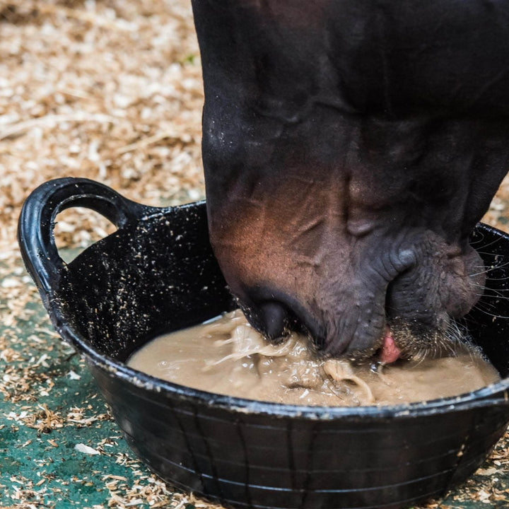 Allen & Page Compete & Condition