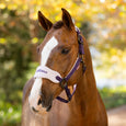 Brown horse with a white blaze and braided mane standing in a grassy field.