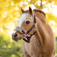 LeMieux Mini Vogue Headcollar & Leadrope - Juniper