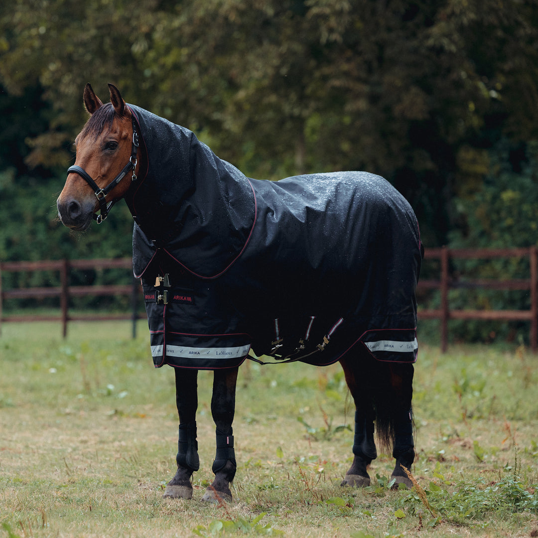 LeMieux Arika Storm-Tek 200g Detach-A-Neck Rug Black