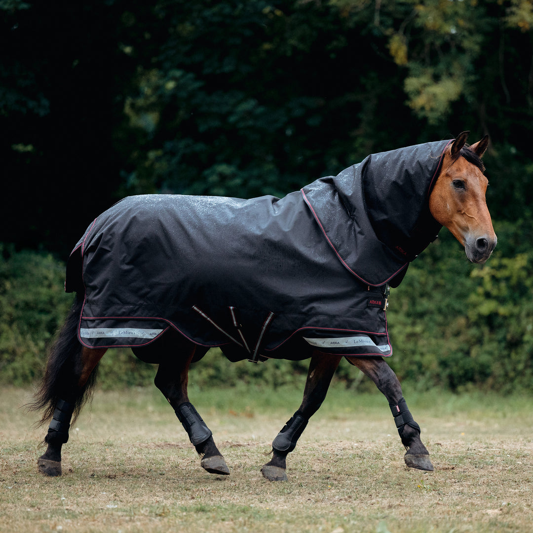 LeMieux Arika Storm-Tek 200g Detach-A-Neck Rug Black