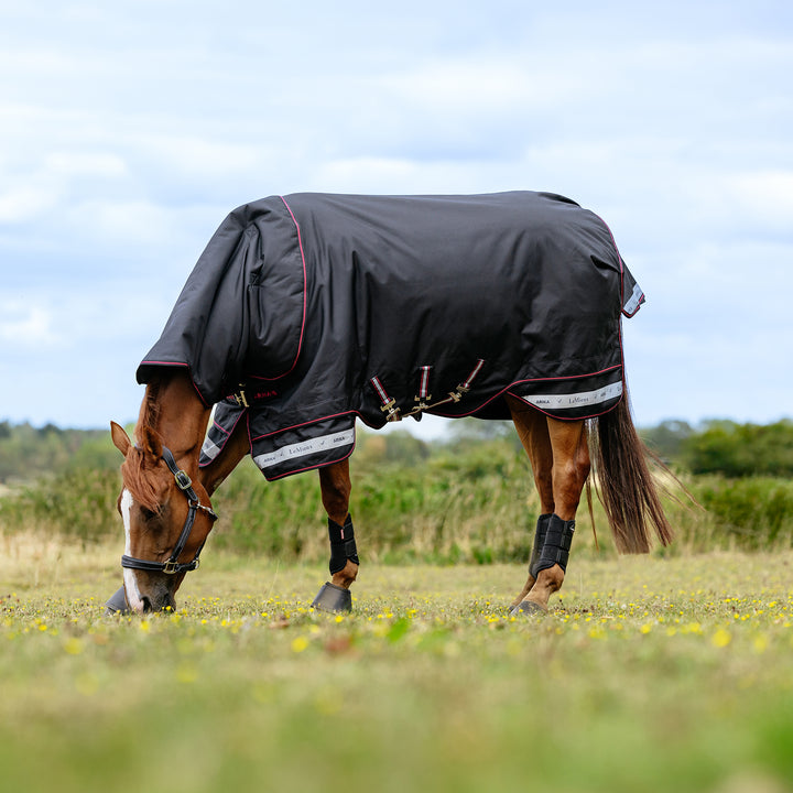 LeMieux Arika Storm-Tek 200g Detach-A-Neck Rug Black