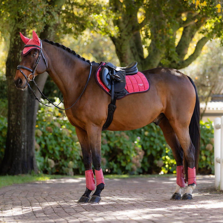 LeMieux Loire Classic Close Contact Square - Cranberry