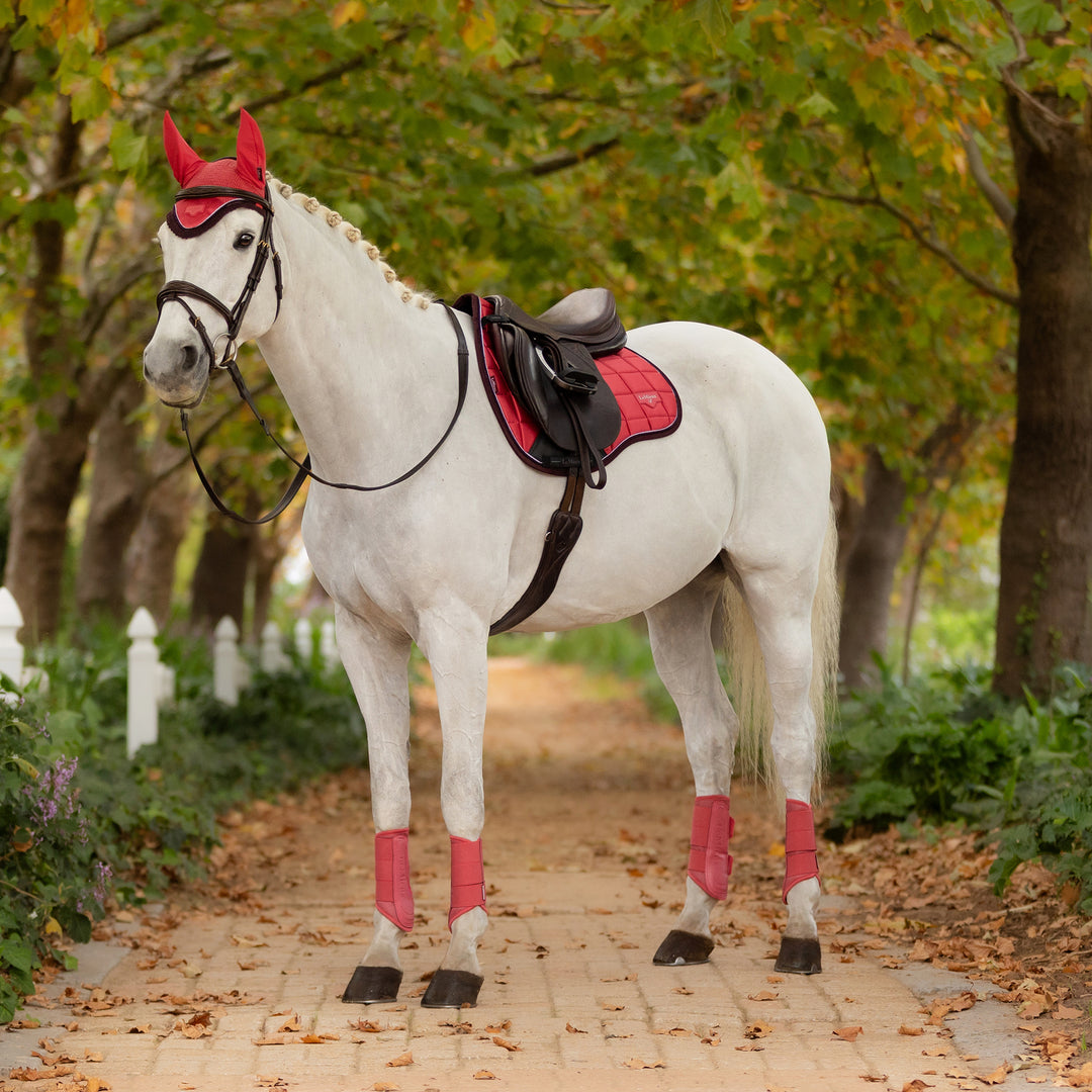 LeMieux Loire Classic GP Square - Cranberry