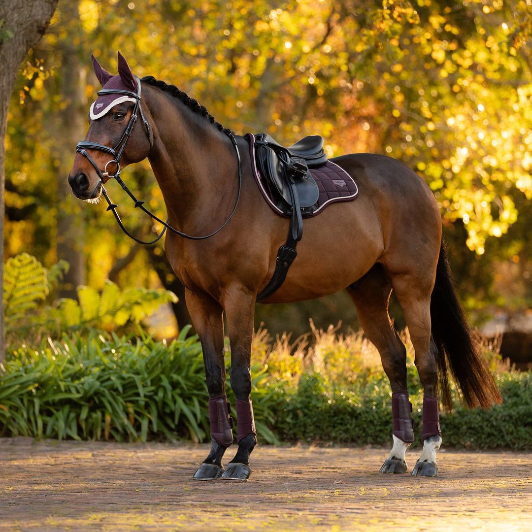 LeMieux Loire Classic GP Square - Damson