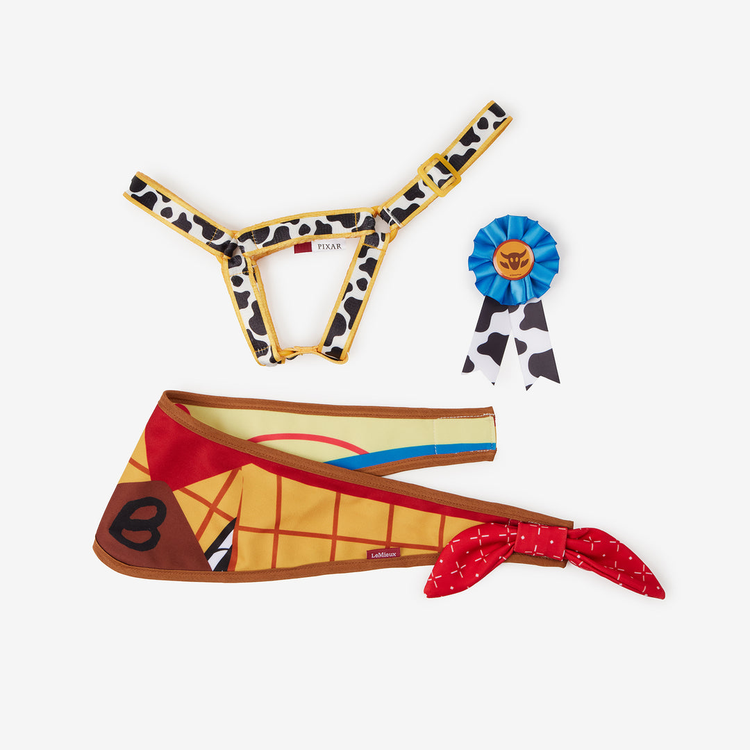 LeMieux Disney Hobby Horse Accessories Set Bullseye