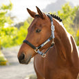 LeMieux Capella Headcollar - Fondant