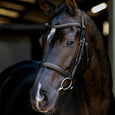 LeMieux Arika Cavesson Bridle