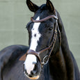 LeMieux Kudos Sport Bridle