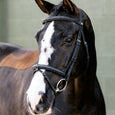LeMieux Classique Flash Bridle
