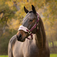 LeMieux Vogue Headcollar & Leadrope - Russet