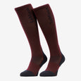 LeMieux Ladies Performance Socks -Aloe