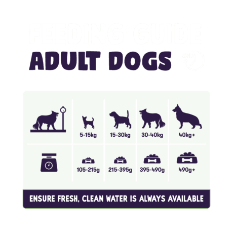 Burgess Sensitive Dog Food with British Lamb & Rice