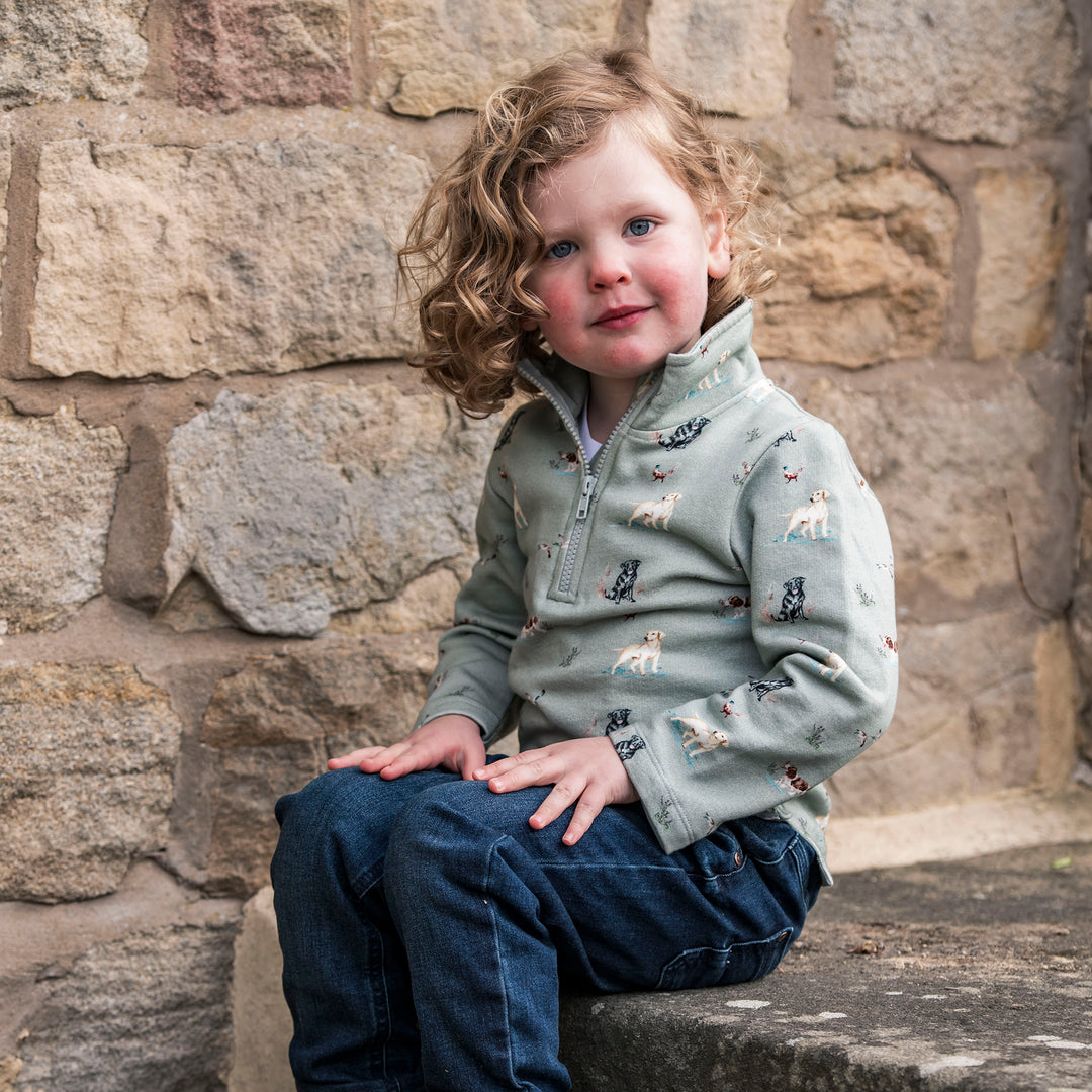 The Little Stamford 1/4 Zip Sweatshirt - Dog