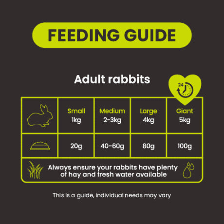 Burgess Excel Natures Blend Nuggets for Rabbits