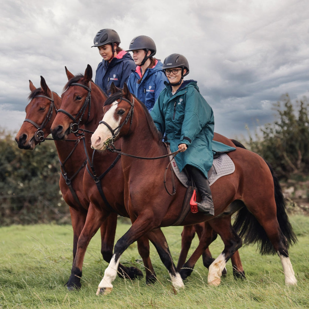 Equidry Adults All Rounder Evolution