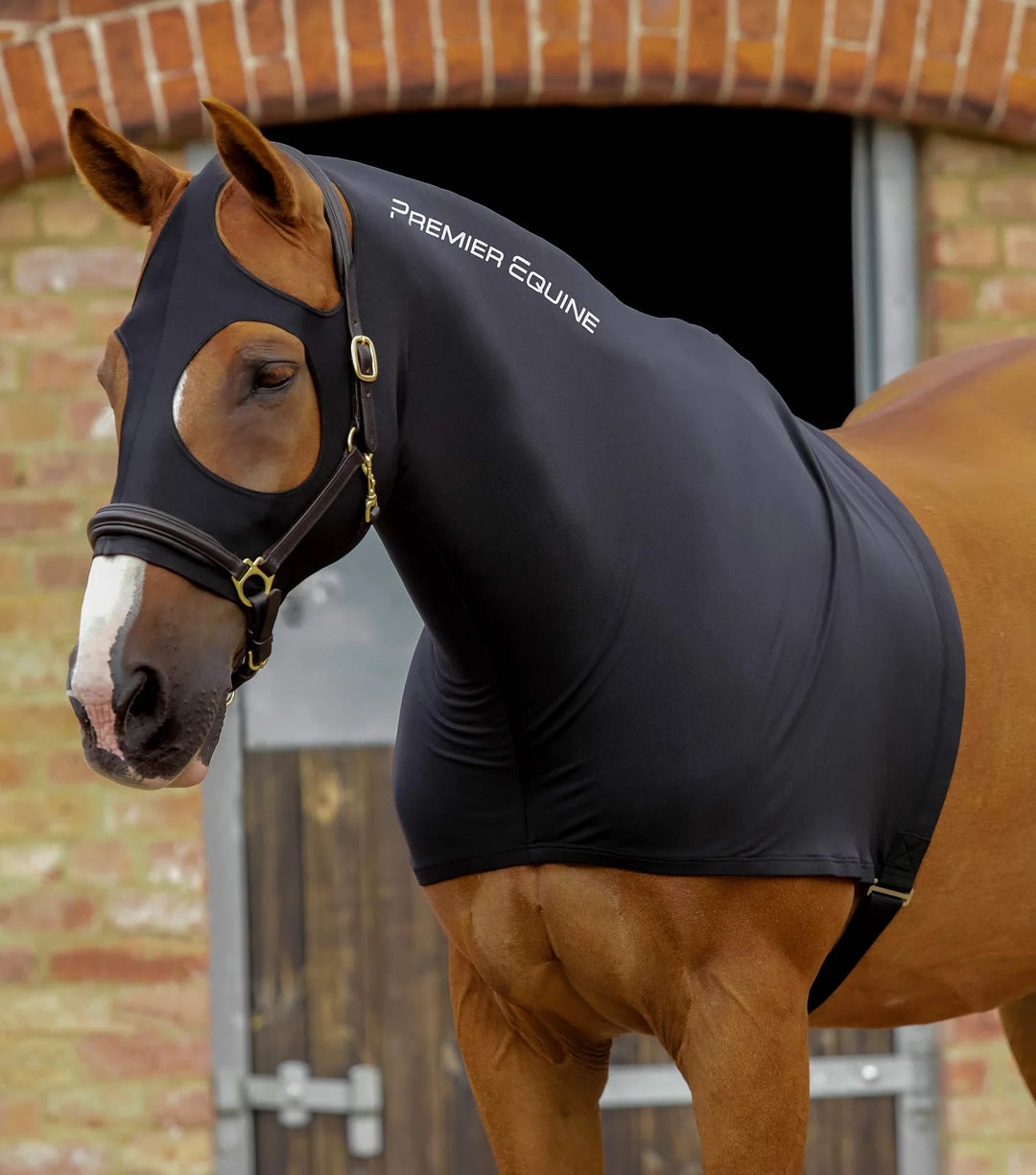 The Premier Equine PE Stretch Lycra Hood in Black#Black