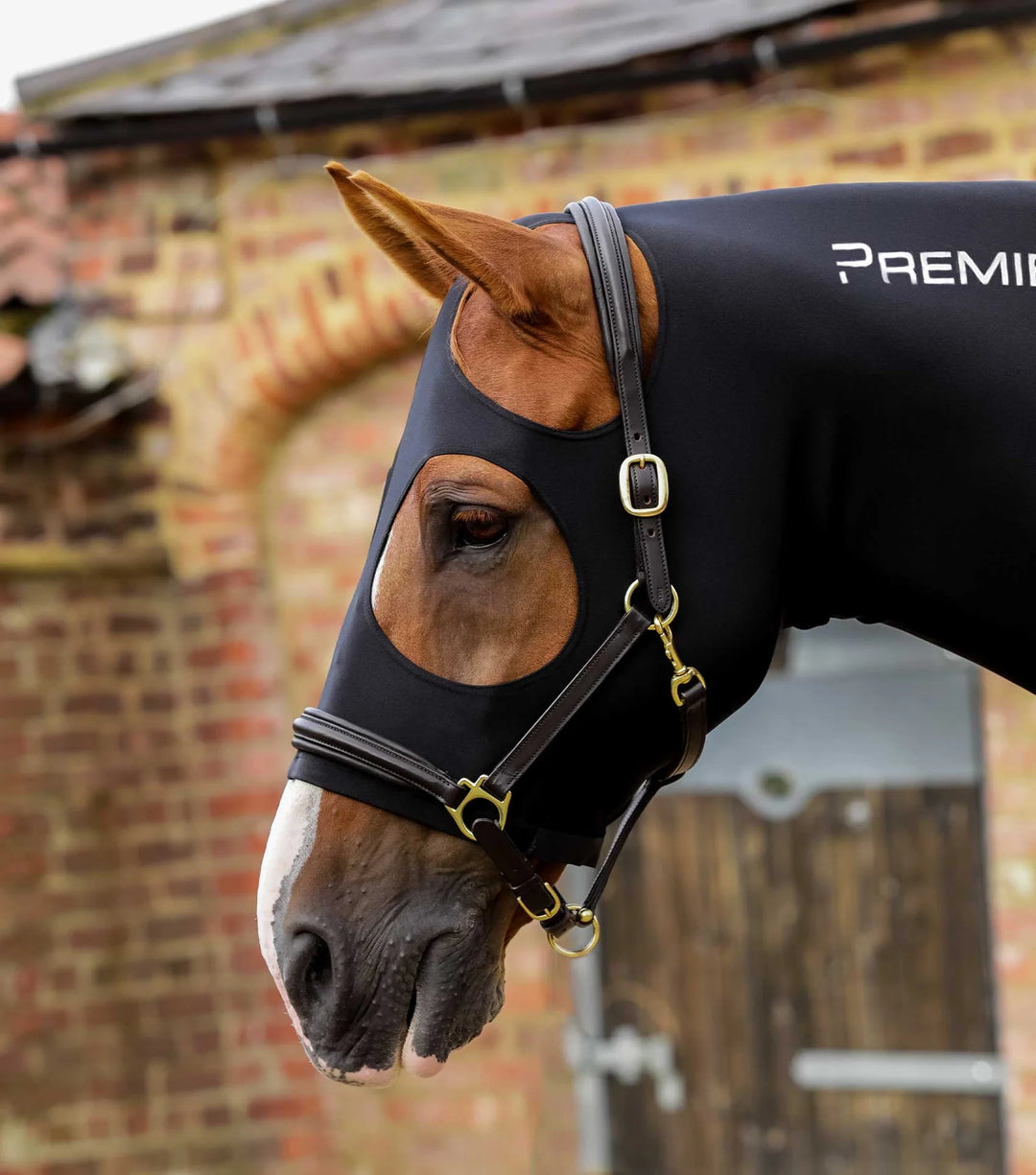 Premier Equine PE Stretch Lycra Hood