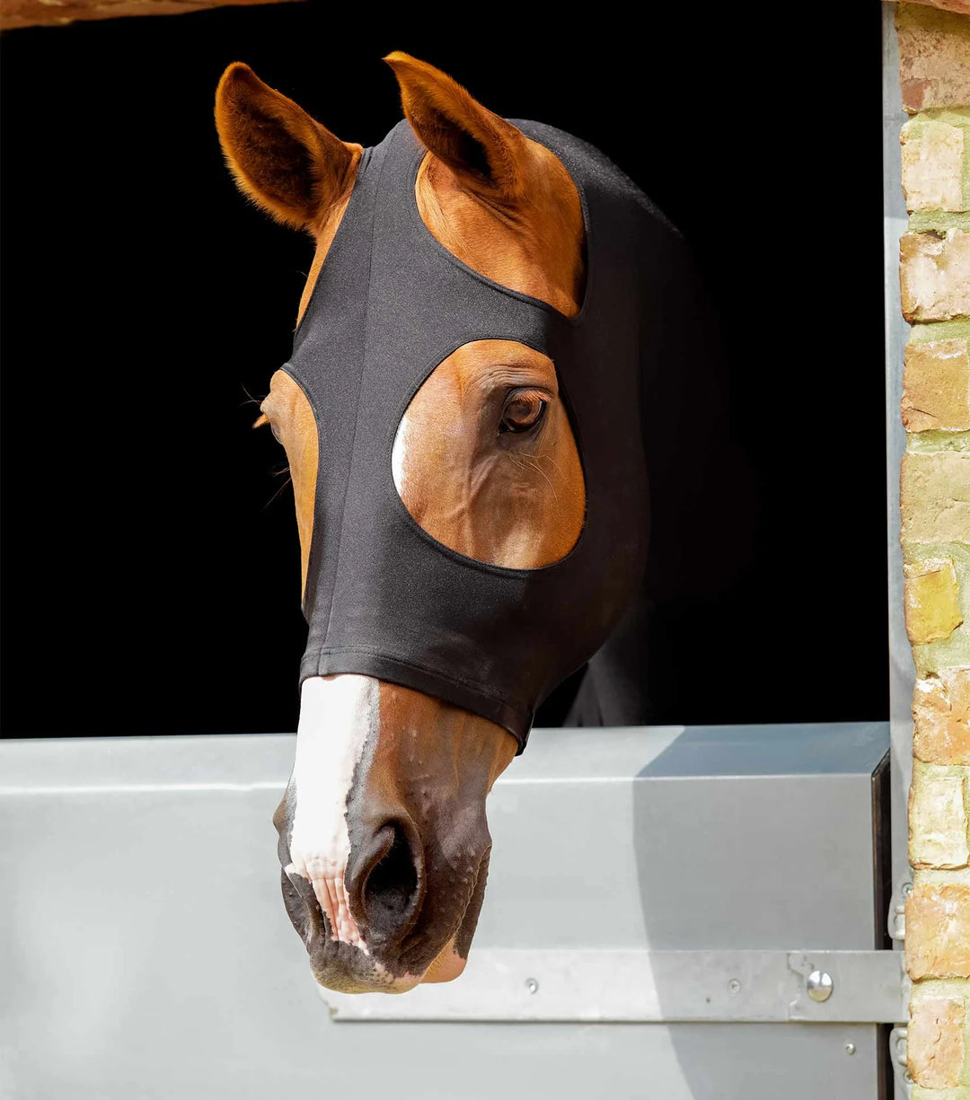 Premier Equine PE Stretch Lycra Hood
