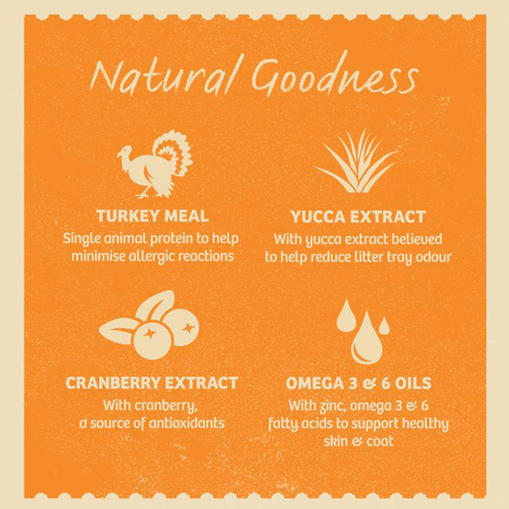 James Wellbeloved Adult Cat Grain Free with Turkey