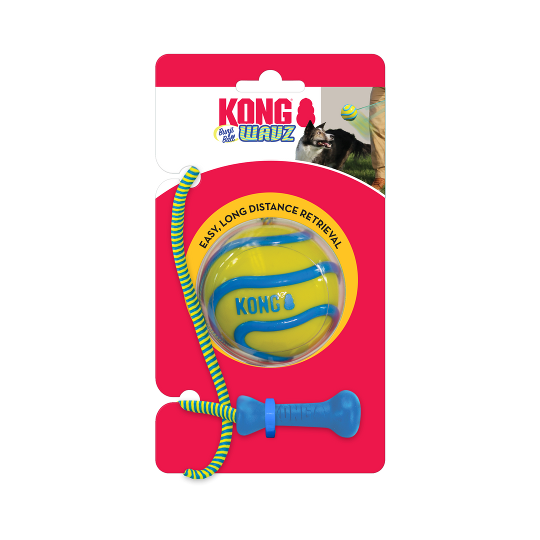 KONG Bunjiball