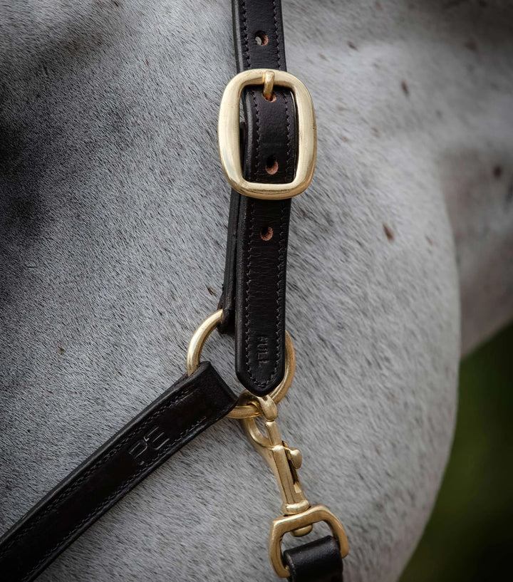Premier Equine Padded Leather Headcollar
