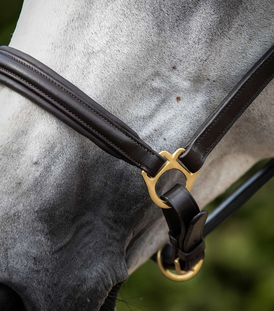 Premier Equine Padded Leather Headcollar