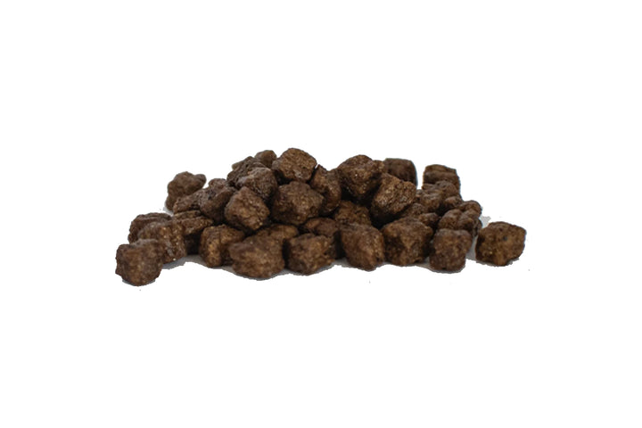 Time Greyhound Record Breaker